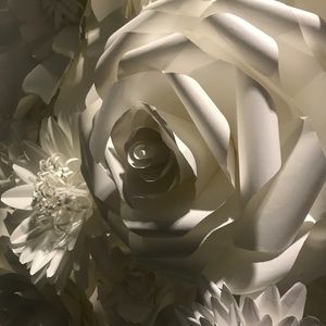 Meet your Posher, Bryan